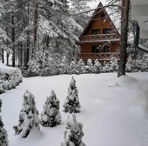 Play - 2 Spavace Sobe * Divčibare